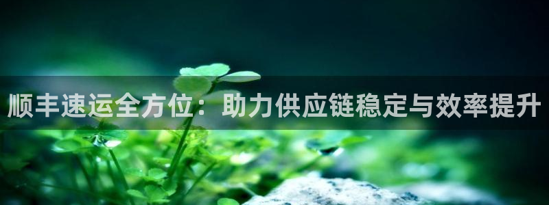 tp钱包官方下载安卓版：顺丰速运全方