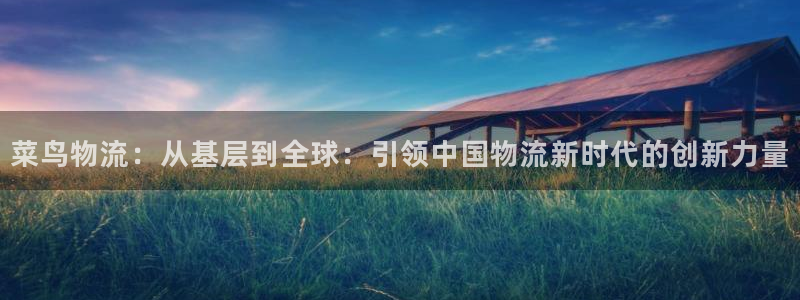 如何在tp钱包卖币：菜鸟物流：从基层