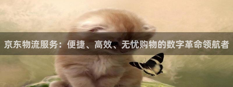tp钱包怎么收款：京东物流服务：便捷