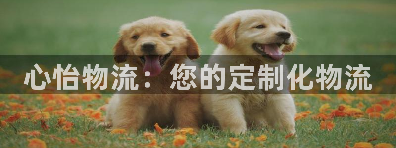 tp钱包导入：心怡物流：您的定制化物