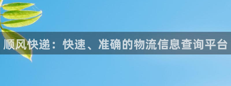 tp钱包转链：顺风快递：快速、准确的
