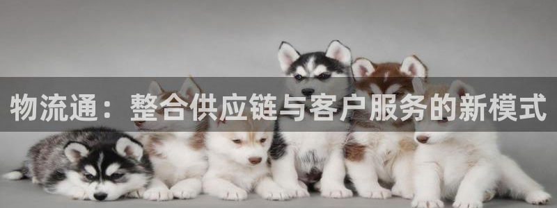 tp钱包购买usdt：物流通：整合供