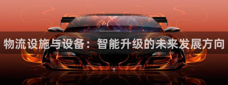 tp钱包里的币会涨或会跌吗?：物流设施与设备：智能升级的未来