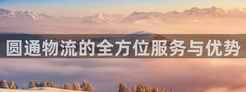 tp钱包不同链转账：圆通物流的全方位服务与优势