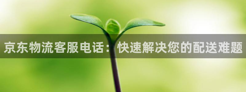 tp钱包提现到银行卡安全吗：京东物流