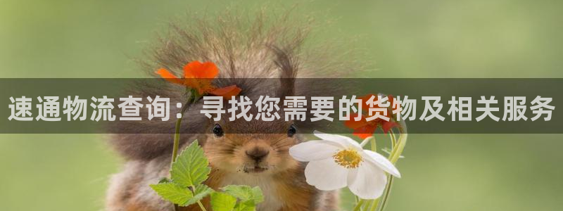 tp钱包能挖矿吗：速通物流查询：寻找您需要的货物及相关服务