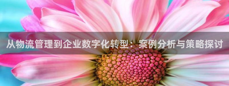 tp钱包怎么设置中文：从物流管理到企