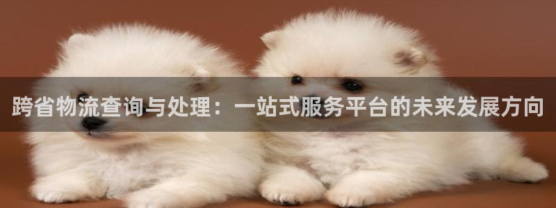tpl软件：跨省物流查询与处理：一站