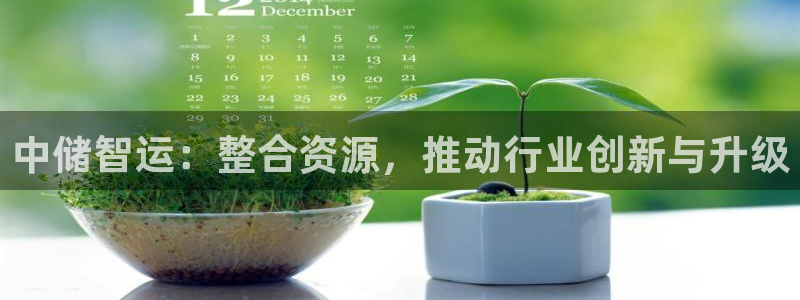tp钱包查看别人：中储智运：整合资源