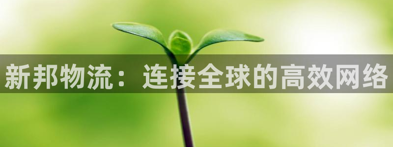 tp钱包app合法吗：新邦物流：连接
