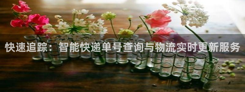 tp钱包bsc地址：快速追踪：智能快