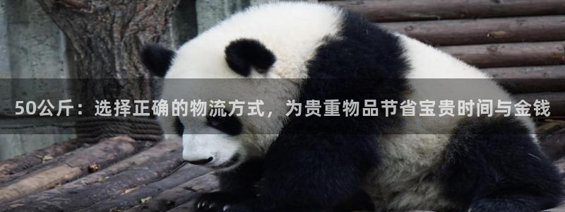 TP钱包下载入口：50公斤：选择正确